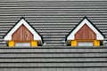 Attic loft windows