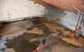 Attic with water infiltrations caused by waterproofing of the ro Royalty Free Stock Photo