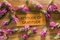 ATTITUDE OF GRATITUDE