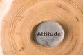 Attitude in stone on tree Royalty Free Stock Photo