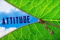 Attitude word under zipper leaf