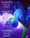 Attract Reflect Become Mirror Inspiration Iris Floral Print