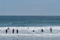 Attracted by the huge crowds at the Zuma Beach in Malibu, California, on the Memorial Day, a small pod of dolphins gets close to t