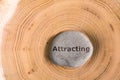 Attracting in stone on tree Royalty Free Stock Photo