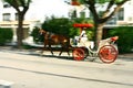 Horse carriage in Alcudia