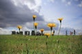 Attraction, Stonehenge on Salisbury plain Wiltshire in England.