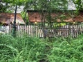 Attractions and entertainment in the Mtatsminda park on the funicular. Green trees and bushes