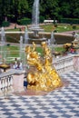 Attractions of the Peterhof Museum-reserve. Sculptures of the main fountain `Grand cascade`.