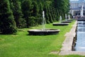 Attractions of the Peterhof Museum-reserve.Small round fountains are installed along the `Sea channel`.