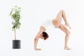 Attractive african american flexible woman doing backbend yoga pose