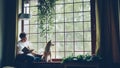 Attractive African American girl student is reading book and stroking her purebred dog sitting on window ledge in modern