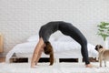 Attractive Asian woman practice yoga bridge pose to meditation in bedroom with dog after wake up in the morning Royalty Free Stock Photo