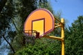 Attractive basketball goal