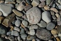 Beach Cobble Royalty Free Stock Photo