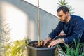 Attractive bearded man in dark clothing transplanting a tomato plant sprout into a larger pot in his urban garden set up on the Royalty Free Stock Photo