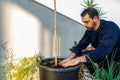 Attractive bearded man in dark clothing transplanting a tomato plant sprout into a larger pot in his urban garden set up on the Royalty Free Stock Photo