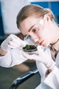 attractive biochemist in goggles looking at Royalty Free Stock Photo