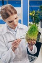 Biologist working with grass in laboratory