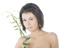 Attractive brunette with bamboo over white Royalty Free Stock Photo