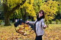 an attractive brunette in dark glasses holds an umbrella filled with autumn yellow leaves. Lady enjoys autumn nature Royalty Free Stock Photo