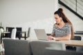 Attractive concentrated adult woman browsing the internet and searching information for business during lunchtime. Royalty Free Stock Photo