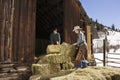 Attractive Couple Moving Hay Bales Royalty Free Stock Photo