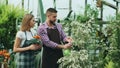 Attractive couple work in greenhouse. Man gardener in apron watering plants and flowers with garden sprayer while his Royalty Free Stock Photo