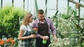 Attractive couple work in greenhouse. Man gardener in apron watering plants and flowers with garden sprayer while his Royalty Free Stock Photo