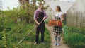 Attractive couple work near greenhouse. Man gardener in apron collect garbage in garden while his wife talking him Royalty Free Stock Photo