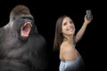 Daring young girl and gorilla