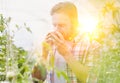 Attractive farmer smelling the quality of his ripe organic tomatoes in his greenhouse Royalty Free Stock Photo