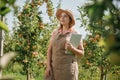 Attractive female agronomist or farmer with laptop standing in apple orchard and checking fruit, makes notes. Agriculture and Royalty Free Stock Photo