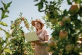 Attractive female agronomist or farmer with laptop standing in apple orchard and checking fruit, makes notes. Agriculture and Royalty Free Stock Photo