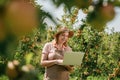 Attractive female agronomist or farmer with laptop standing in apple orchard and checking fruit, makes notes. Agriculture and Royalty Free Stock Photo