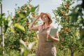 Attractive female agronomist or farmer with laptop standing in apple orchard and checking fruit, makes notes. Agriculture and Royalty Free Stock Photo