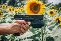 Attractive female army soldier with gun. Woman with weapon Royalty Free Stock Photo