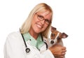 Attractive Female Doctor Veterinarian with Puppy Royalty Free Stock Photo