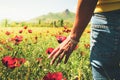 Attractive female in summer jeans touches with hand meadow with sunset in the background Royalty Free Stock Photo