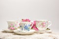 Attractive fine bone china tea cups on a neutral background Royalty Free Stock Photo