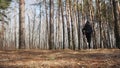 Attractive Fit Woman running in the Forest Path through Trees and Bushes.