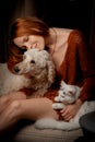 Attractive forty year old woman with a white cat and dog. Pets care concept Royalty Free Stock Photo