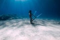 Attractive free diver with white fins glides and posing underwater in blue ocean with sunlight. Girl dive underwater Royalty Free Stock Photo