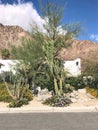 Attractive Front Yard Landscaping In La Quinta Royalty Free Stock Photo