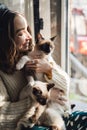 Portrait woman with Siamese cats Royalty Free Stock Photo