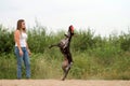 Attractive girl walking the dog.