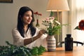 Gorgeous Asian woman enjoys her free time at home, arranging a vase with flowers Royalty Free Stock Photo