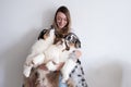 Attractive woman holding three merle colours Australian shepherd puppy dog on couch Royalty Free Stock Photo