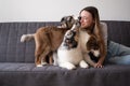 Attractive woman kissing with three merle colours Australian shepherd puppy dog on couch Royalty Free Stock Photo