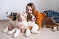 Smiling woman holding three beatiful Small merle Australian shepherd puppy dog Royalty Free Stock Photo