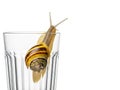 Snail in a glass, snail shell in the glass isolated on white background Royalty Free Stock Photo